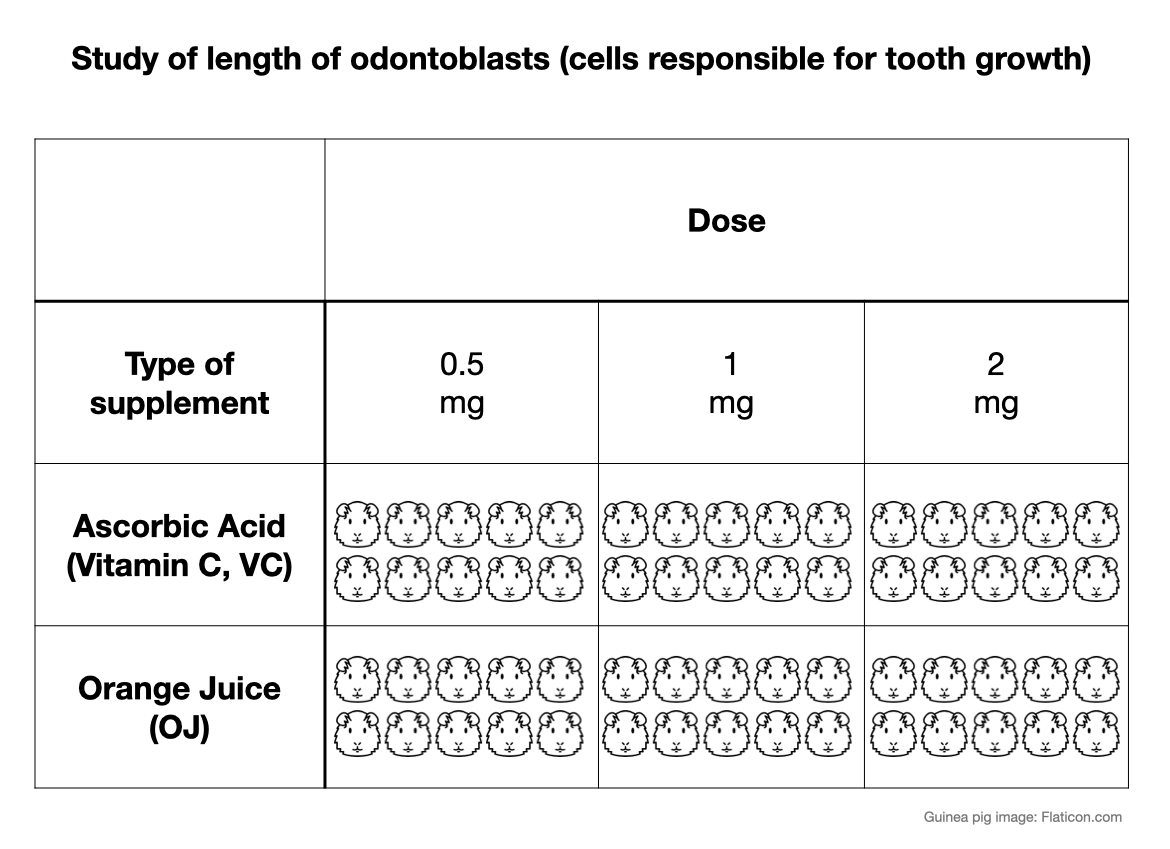 Table showing a study on odontoblast length (cells responsible for tooth growth) based on type and dose of supplement. The table compares Ascorbic Acid (Vitamin C) and Orange Juice at three doses 0.5 mg, 1 mg, and 2 mg. Each cell in the table contains rows of guinea pig face icons representing individual subjects in each condition.